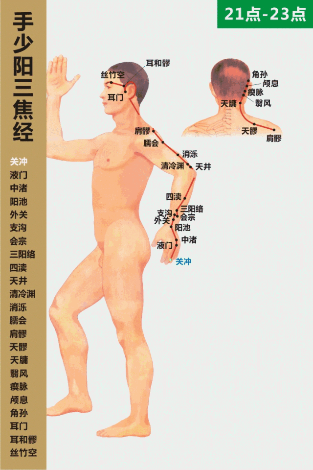 三焦经.gif