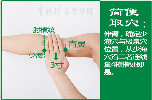 青灵2.png