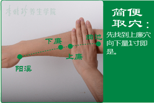 下廉2.png