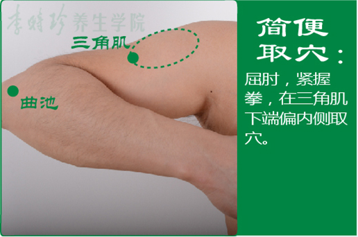 臂臑2.png