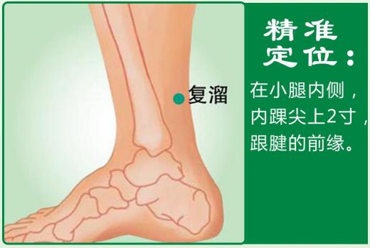 复溜(1).jpg
